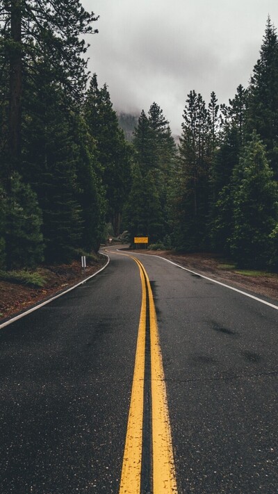 What's Comes Next?